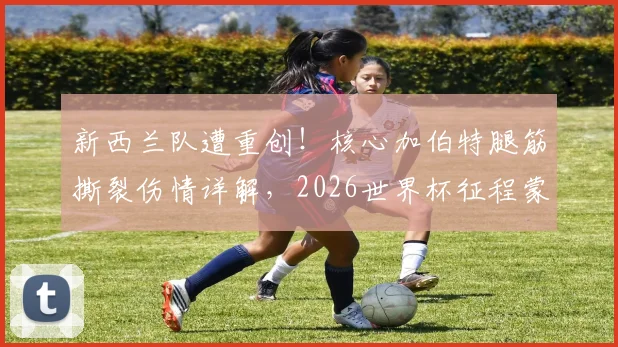 新西兰队遭重创!核心加伯特腿筋撕裂伤情详解,2026世界杯征程蒙阴影,谁将顶替其位置?